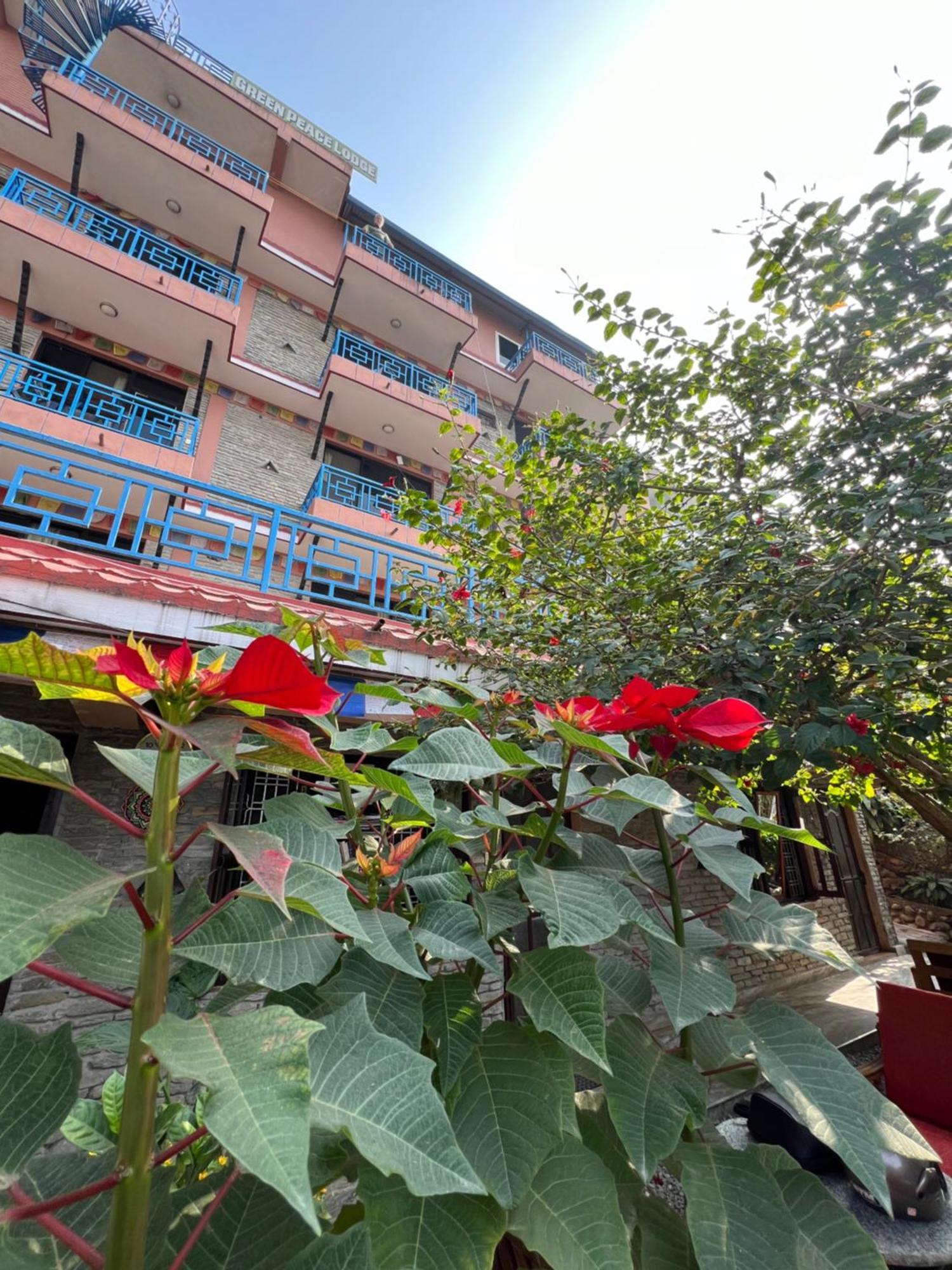 Little Pilgrim Family Lodge Pokhara Ngoại thất bức ảnh